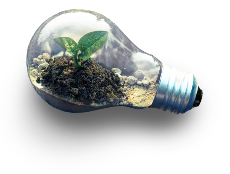 Bulb with the plant insidepng
