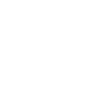 Vessto Photography